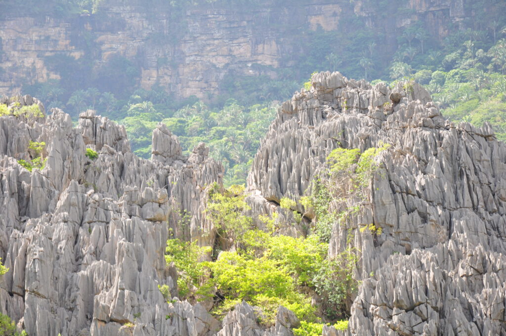 Tesouros Naturais: Uma Viagem Inesquecível