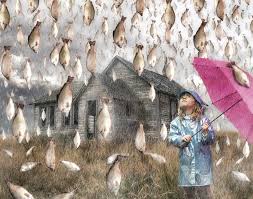 rain of fish, phenomenon