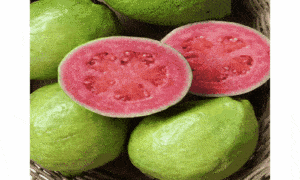 frutas,nocivas,perigosas