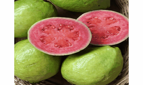 frutas, dañinas, peligrosas