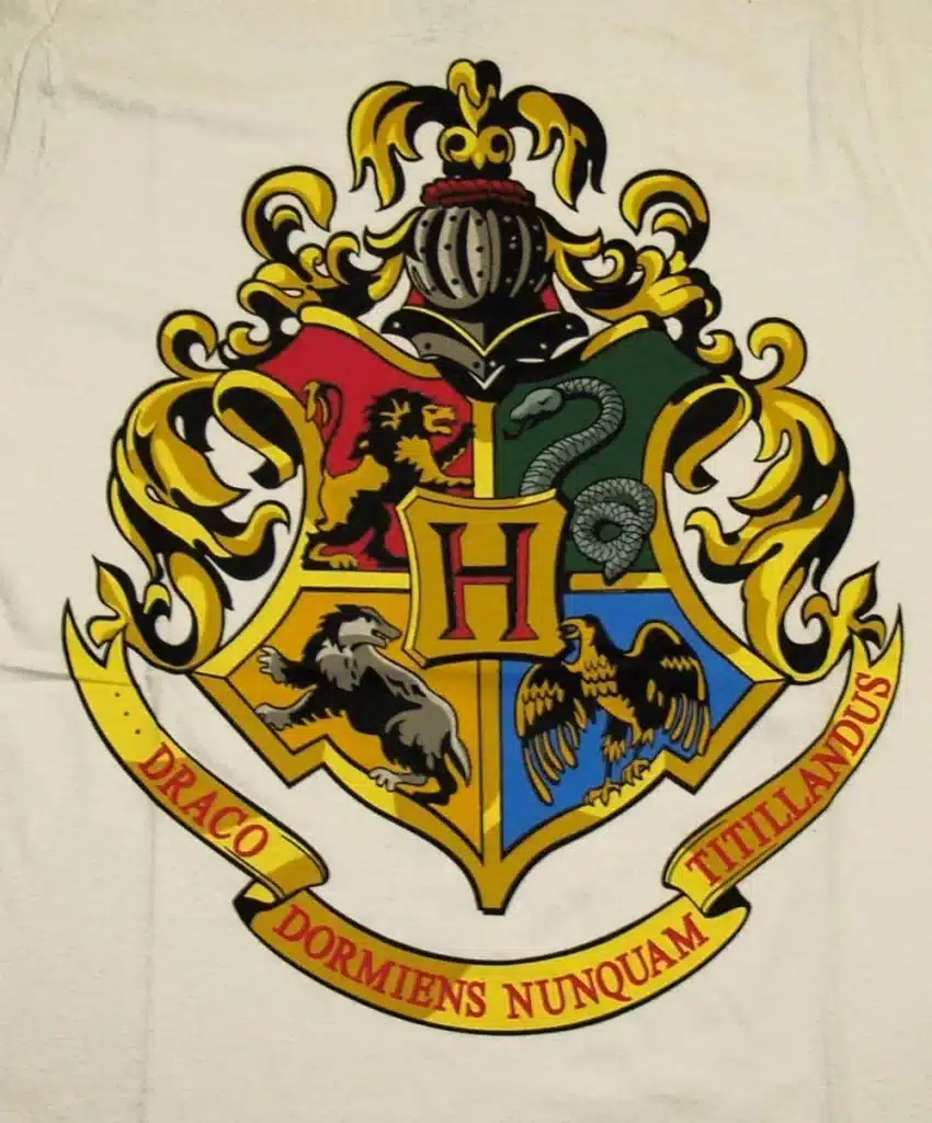 harry potter, chapéu seletor, quizz