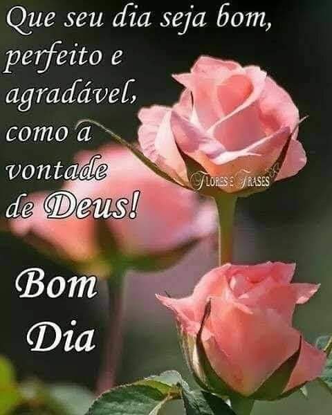 mensagens, vídeos, bom dia, amor