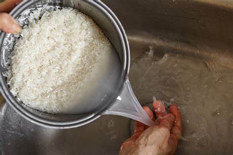 lavar arroz, arroz, culinária