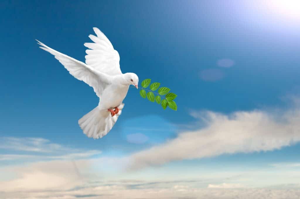 energia,afirmações,paz