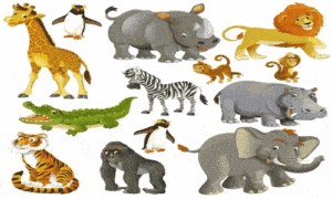 teste,quiz,animais,personalidade