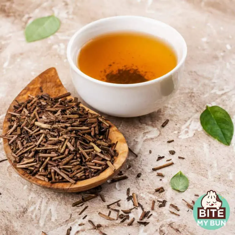 Conheça Mais Sobre Plantas Medicinais