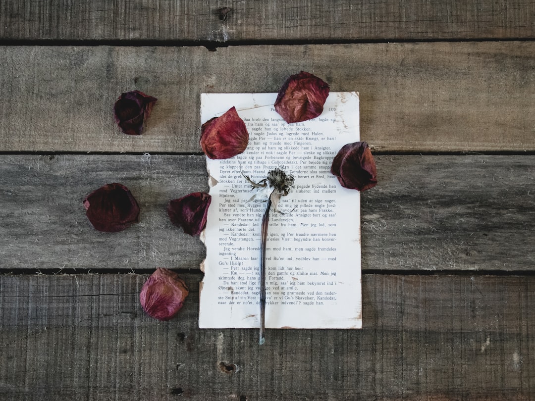 A carta de amor que vai emocionar seu dia hoje
