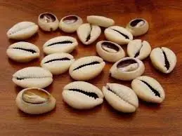 trò chơi vỏ ốc, số phận, may mắn